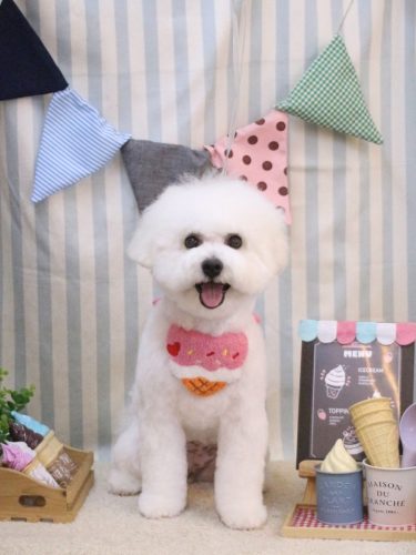 20250513姫葵ちゃん